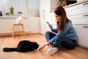 pet sitter malta